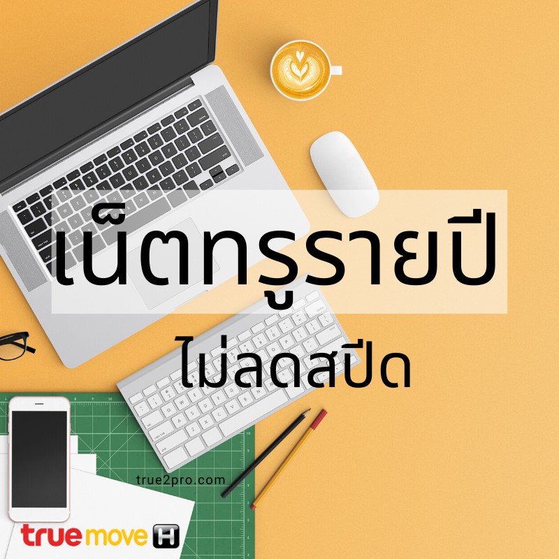 โปรเน็ตทรูรายปี